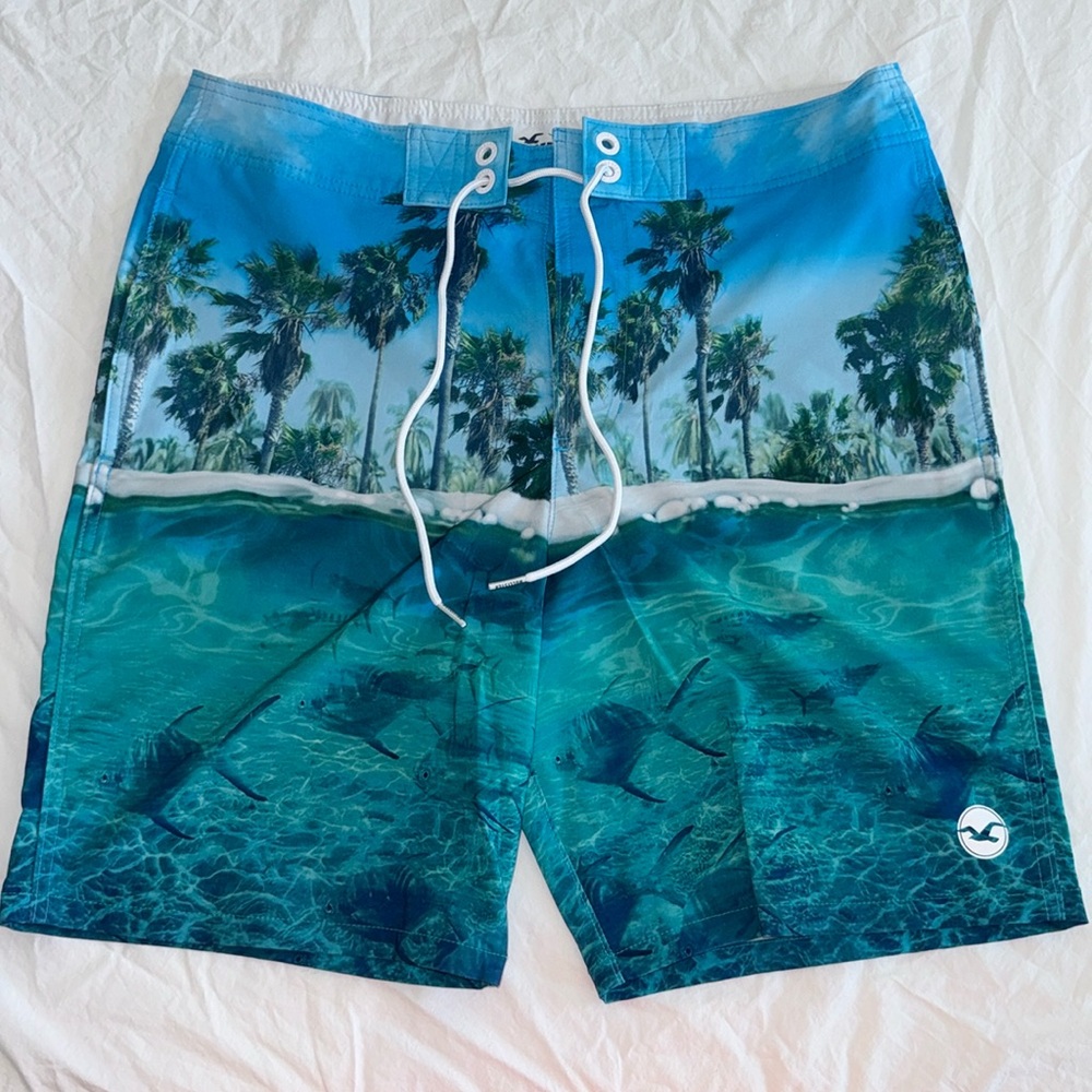 Hollister men’s bathing suit size 32